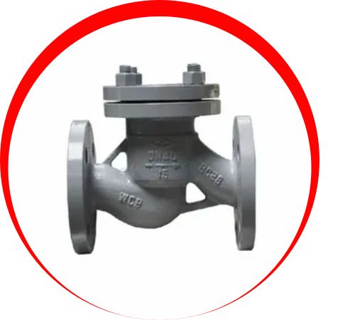 Incoloy-Check-Valve-in-Thailand