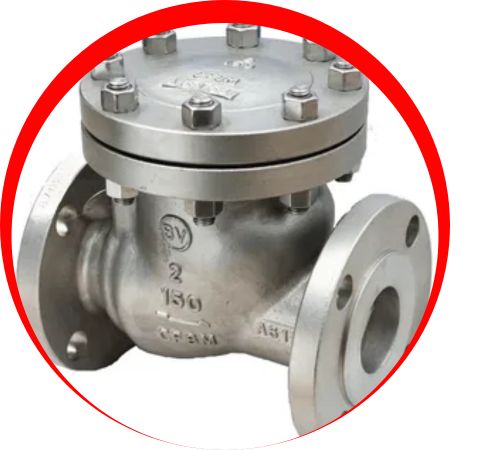 Monel-Instrumentation-Check-Valves-in-Thailand