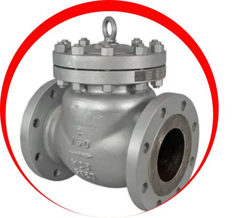Monel-Non-Return-Check-Valves-in-Thailand