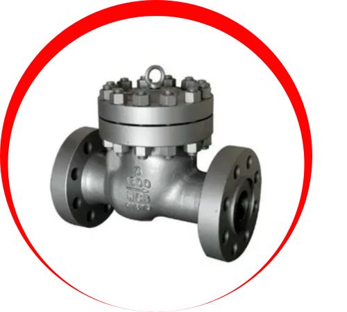 Monel-Spring-Check-Valves-in-Thailand